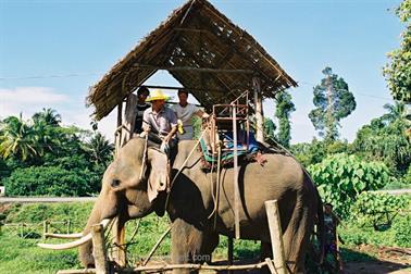 14 Thailand 2002 F1060022 Khao Lak Ausflug Elefantentrekking_478